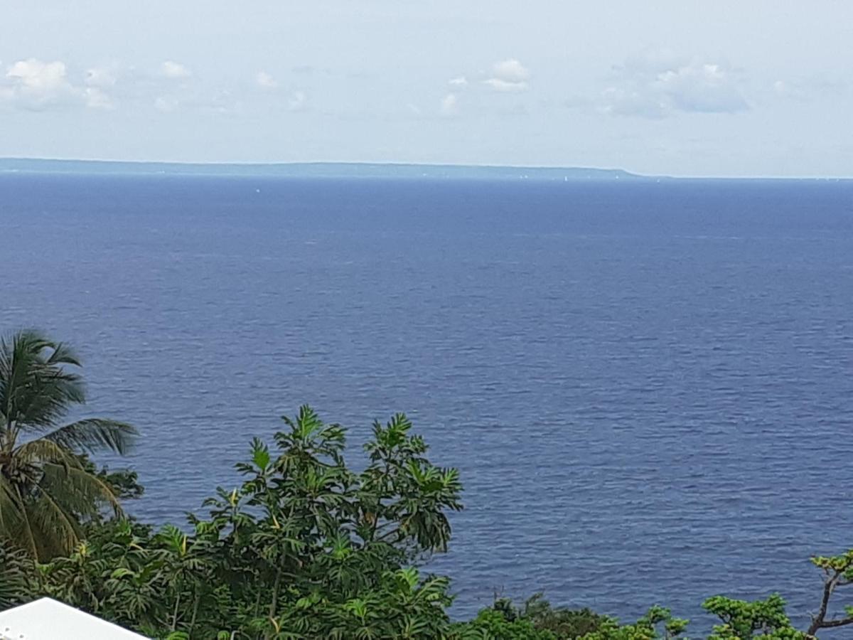 Awmony'Kaz, Gite A Trois-Rivieres Guadeloupe المظهر الخارجي الصورة