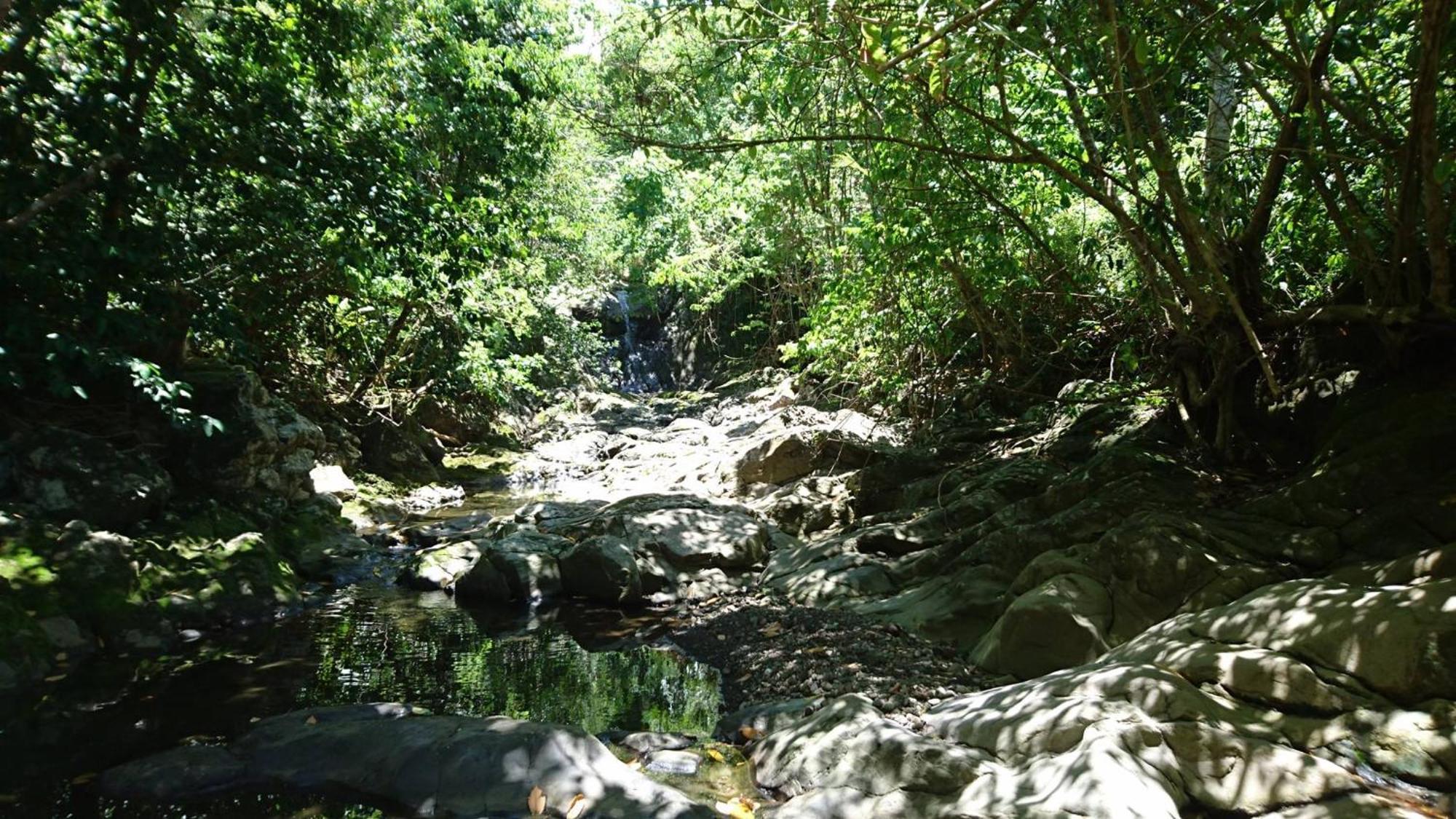 Awmony'Kaz, Gite A Trois-Rivieres Guadeloupe المظهر الخارجي الصورة