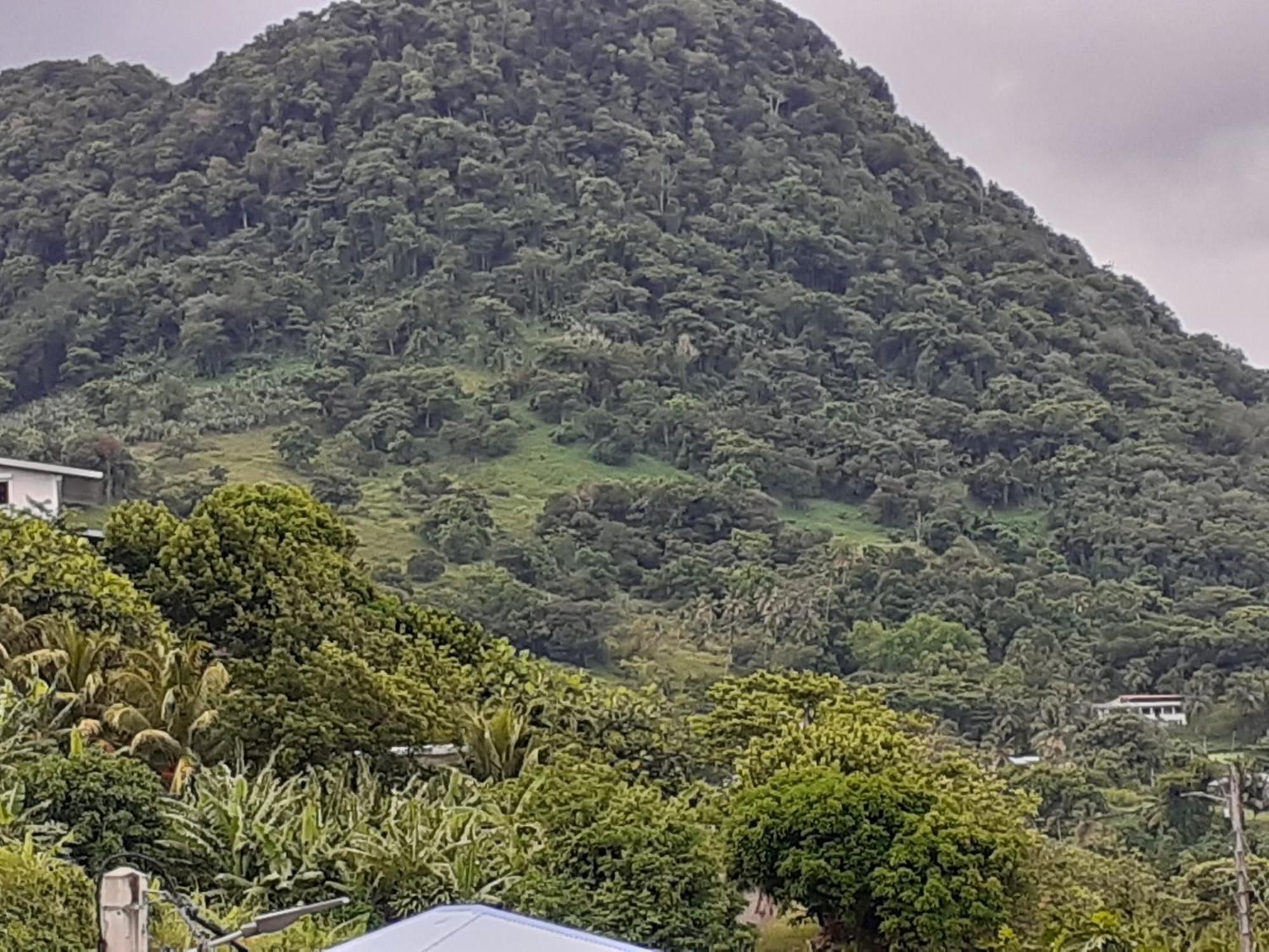 Awmony'Kaz, Gite A Trois-Rivieres Guadeloupe المظهر الخارجي الصورة