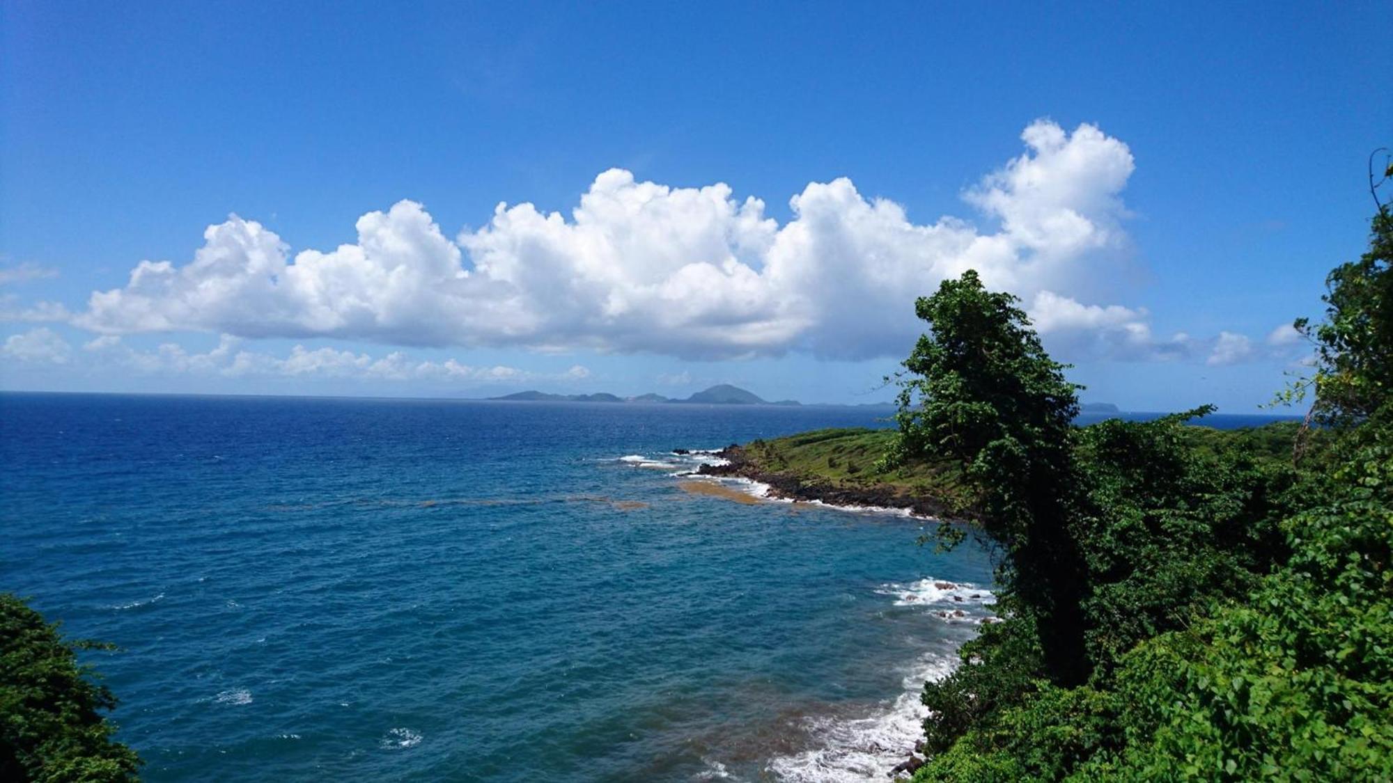 Awmony'Kaz, Gite A Trois-Rivieres Guadeloupe المظهر الخارجي الصورة