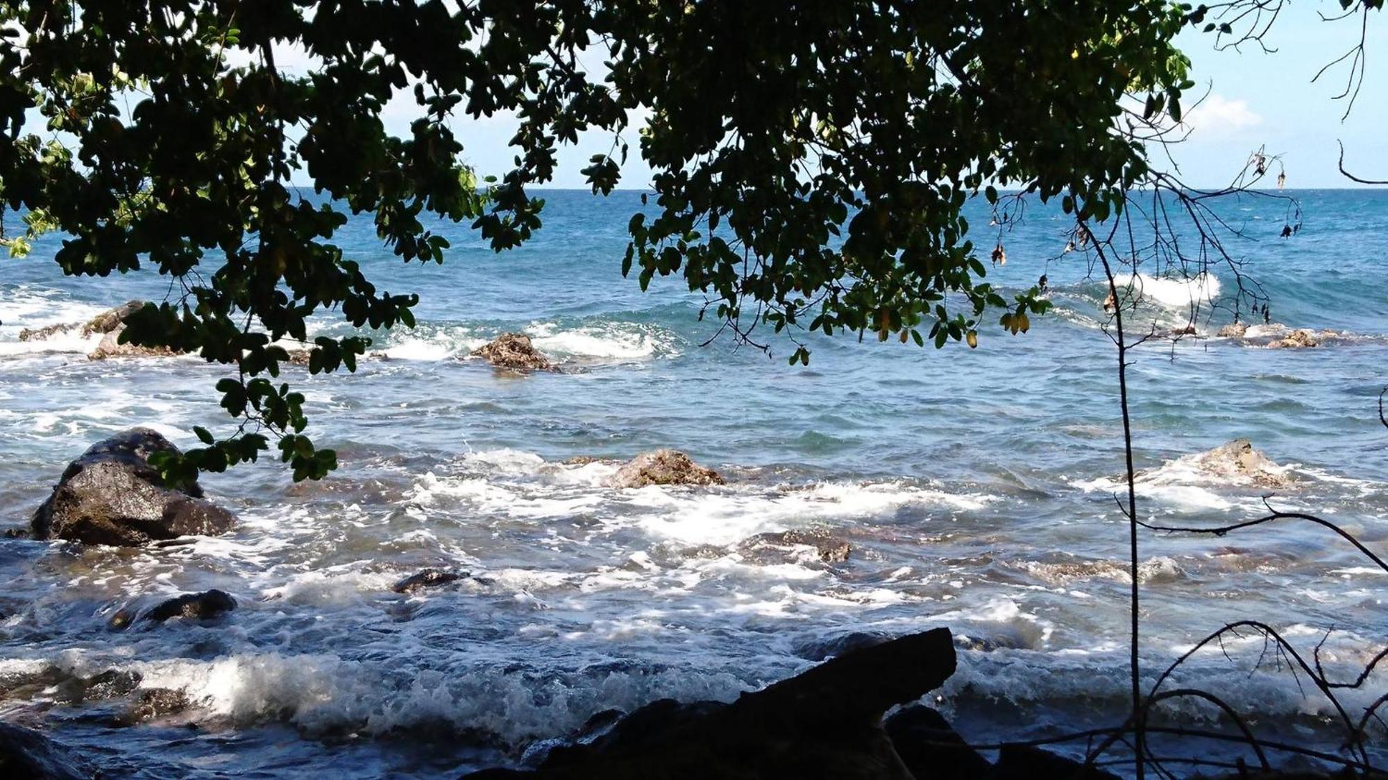 Awmony'Kaz, Gite A Trois-Rivieres Guadeloupe المظهر الخارجي الصورة