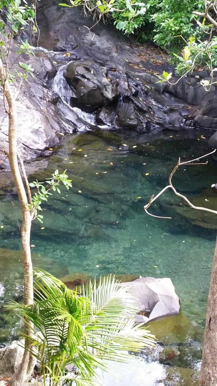 Awmony'Kaz, Gite A Trois-Rivieres Guadeloupe المظهر الخارجي الصورة